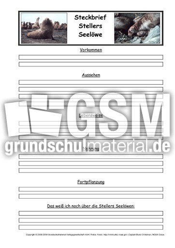 Stellers-Seelöwe-Steckbriefvorlage.pdf